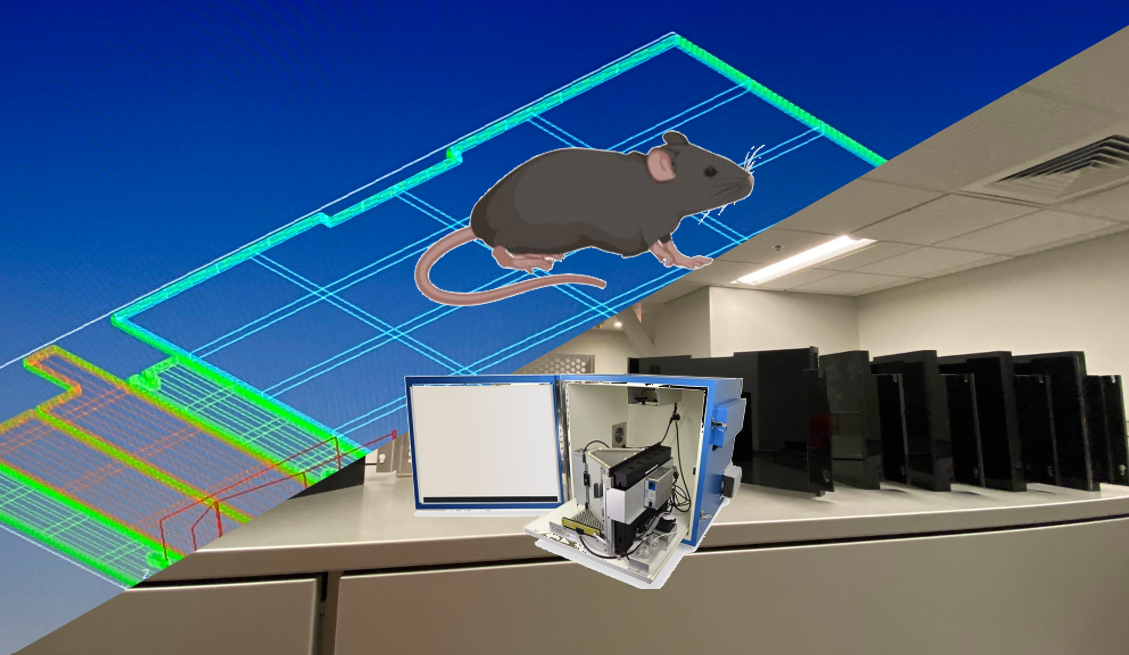 RC Circuit of EEG analog signal processing component